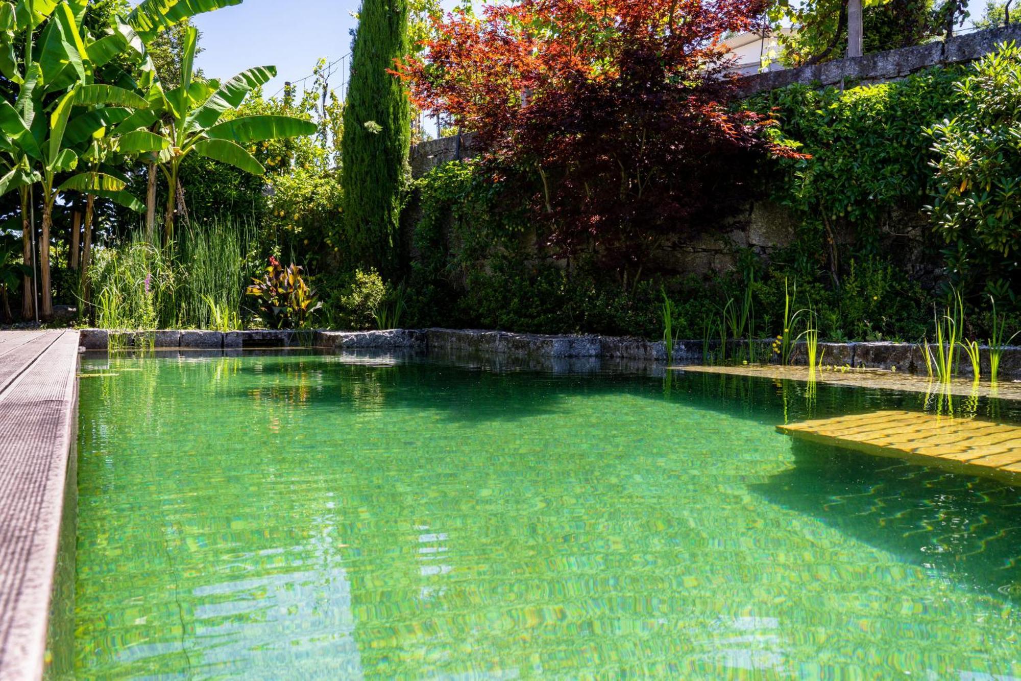 Gondomar Guimaraes - Moradia V3 Com Piscina Natural By House And People Bagian luar foto